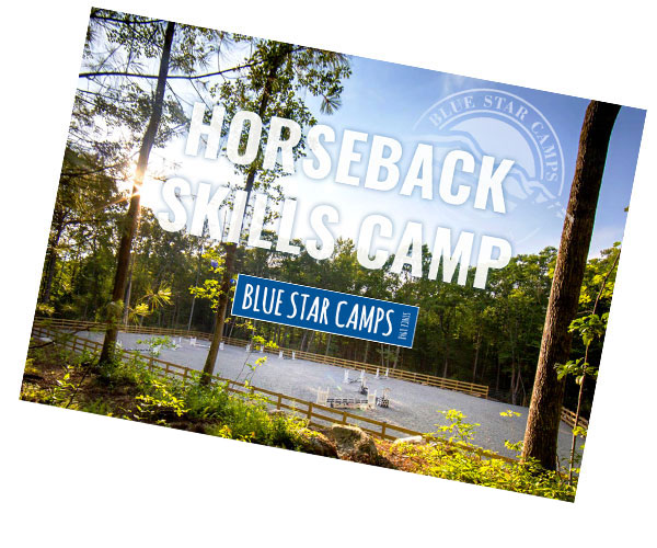 Horseback Skills Camp brochure