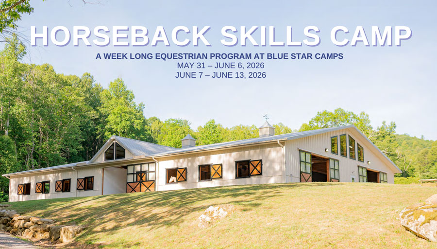 Horseback Skills Camp brochure